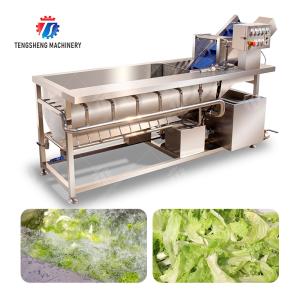 Buy cheap Cleaning processing production Machine Vortex vegetable washing machine red beans  mung beans  green peas beans canning Potato  Potatoes and round tuber crops Carrots and longitudinal root vegeta from wholesalers