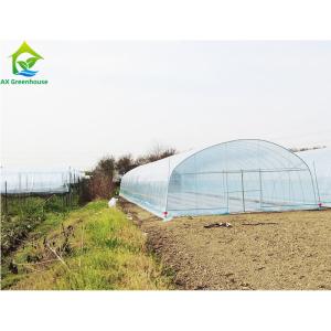 Buy cheap Agricultural Polytunnel Commercial Hydroponic Greenhouse For Mushroom Cultivation from wholesalers