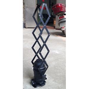 P30 with bulb and flexible holder