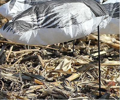 Buy cheap 12 DEADLY DECOYS SNOW GOOSE WINDSOCK DECOYS WITH SUPPORTS from wholesalers
