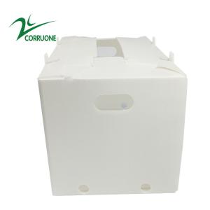 Buy cheap 2mm-11mm Hollow Carton Coroplast Correx Collapsible Corrugated Plastic Boxes from wholesalers