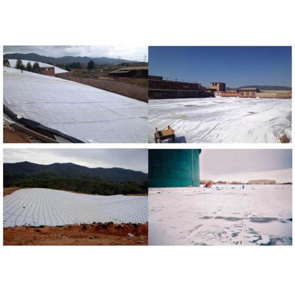 Quality White 800gsm High Strength Geotextile For Water Conservancy for sale
