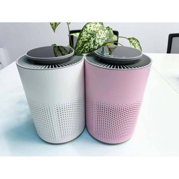 Quality 6W Electronic Low Noise Air Purifier with Timer in ABS for sale