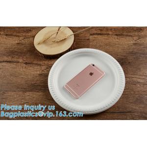 Biodegradable Disposable Sugarcane Bagasse Party Plate,Eco-friendly sugarcane