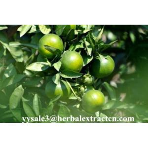 China NHDC(Neohesperidin Dihydrochalcone) sweenteners,  herbal extract manufacture exporter on sale