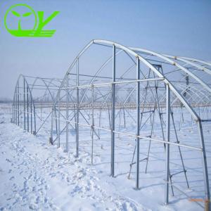 Buy cheap Large Height 3-10m Polytunnel Greenhouse The Ideal Growing Environment for Your Crops from wholesalers