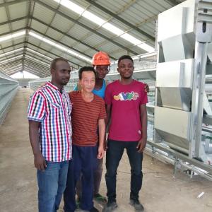 Buy cheap Chicken House Laying Hens Cage，Battery Chickens Layer Cages Automatic from wholesalers