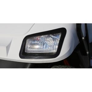 Buy cheap EV Lithium Cargo Golf Cart Utility Vehicle 120KM Custom from wholesalers