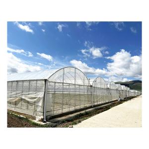 China BAOLIDA 24x40m Single-Span Greenhouse With 150micron PE Film on sale