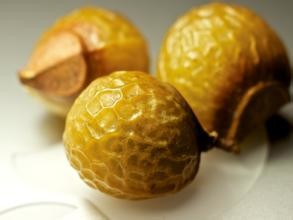 100% natural Soap Nut Extract Sapindussaponin 40% natural surfactant washing