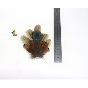 Exquisite Dyed Peacock And Pheasant Feather Hat Pin 5x10Cm Party Supplies
