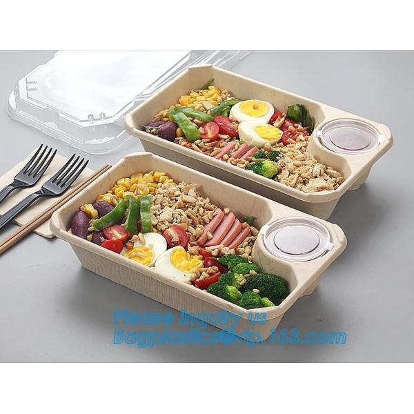 Biodegradable Microwave Bamboo Sugarcane Bagasse Food Container,Eco friendly