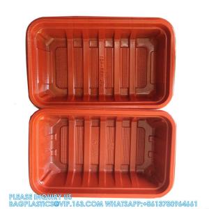 1000ml Rectangular Single Compartments Disposable Microwavable Takeaway Food
