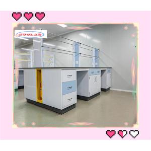 Buy cheap Smooth Functionality Chemistry Lab Bench laboratory Workbenches- Polished Surface Multifunctional Design from wholesalers