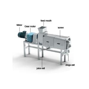 Industrial Automatic Double Screw Berry Pineapple Apple Grape Herb Vegetable