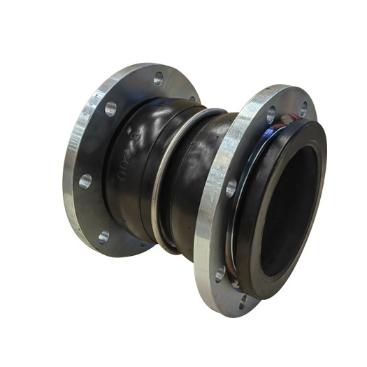 Hot Galvanized ASME Corrosion Resistant Design DN200 Pressure Ring Plumbing Material Flanged Twin Sphere Rubber Expansion Joint