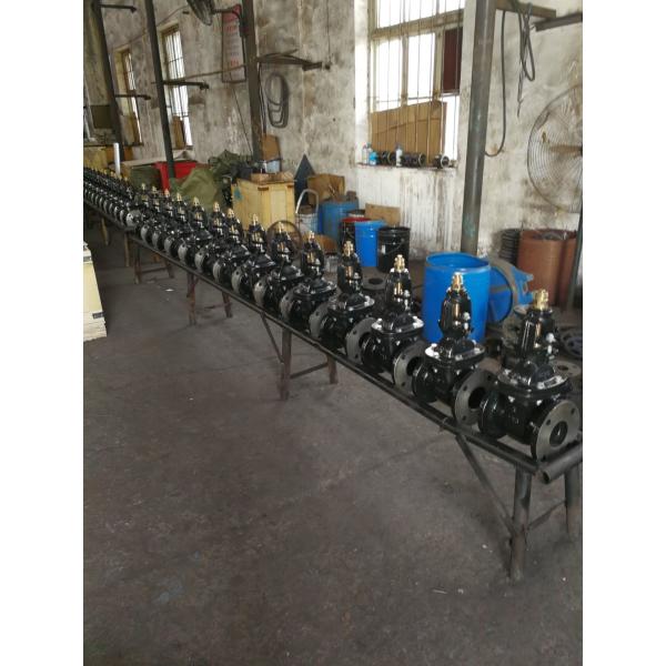 Quality (ANSI) Cast Iron Gate Valve O&Y flanged ends for sale