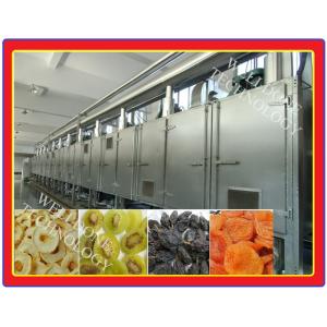 DWF Candied Fruit / Preserved Fruit / Confect Belt Dryer (Special Design)