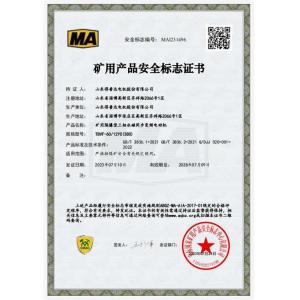 Shandong Depuda Electric Motor Co., Ltd. Certifications