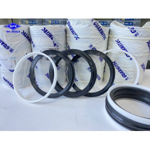 China 100% Italy TPM Seals And KDSAS Piston Cylinder Combination Oil Seals on sale