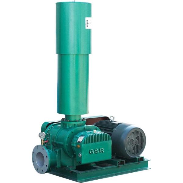 Quality WSR Dry Cement Pump for sale