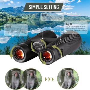 Compact Birding ED Lens Binoculars For Bird Watching Hunting Telescope