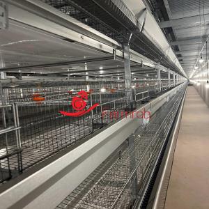 Buy cheap 60000 Layer Chicken Cage System Healthier Environment from wholesalers
