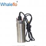 Whaleflo 720LPH 12Volt Submersible Water Well Solar Bore Pump For Agriculture