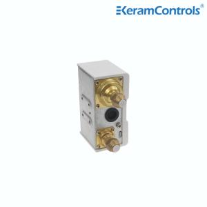 Stainless steel Dual Adjustable Pressure Switches For Water Pump