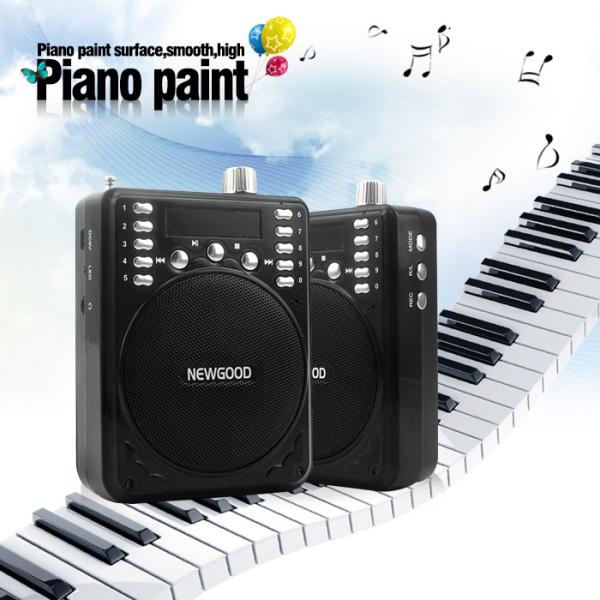 Buy cheap Teachers Coaches Tour Guides Voice Booster Portable Voice Amplifier Loudspeaker U DISK ABS Black NEWGOOD manufacturer from wholesalers