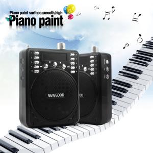 Buy cheap Teachers Coaches Tour Guides Voice Booster Portable Voice Amplifier Loudspeaker U DISK ABS Black NEWGOOD manufacturer from wholesalers