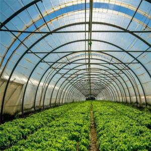 Buy cheap Polytunnel Plastic Tunnel Single Span Agricultural Greenhouse for Customized Request from wholesalers
