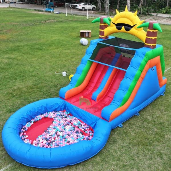 Double Lane PVC Inflatable Water Slide Combo With Pool Obstacle Climb Inflatable Pool Slides