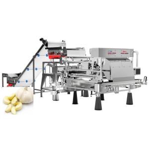 Buy cheap Precise Removal Garlic Color Sorter Processing Equipment Belt Type 1.0-1.5 t/h product