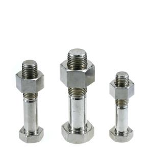 SS M4 M5 M6 M8 M10 M12 Heavy Hex Headed Cap Screw Machine Bolt and Nuts Hex