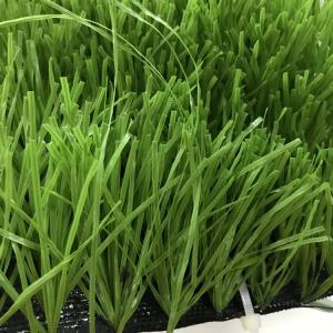 Synthetic Fibrillated Grass Yarn