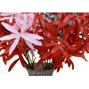 Colorful Artificial Olive Branch , Artificial Tree Branches Decor Plastic + Iron