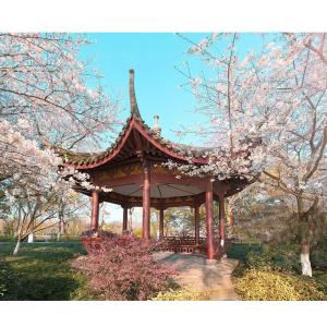 Buy cheap Custom Chinese Garden Antique Design Solid Leisure Pavilion WaterProof from wholesalers