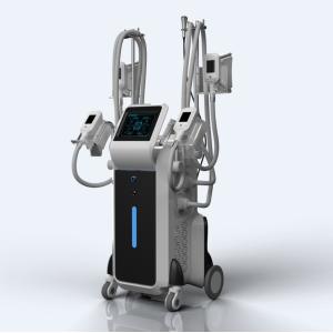 Buy cheap Cryolipolysis slimming machine fat reducing injections non invasive fat removal from wholesalers