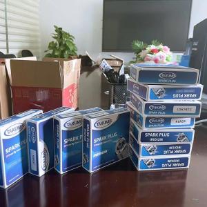 12453572 NGK Prechamber Spark Plug For MWM TCG2020 Gas Engine