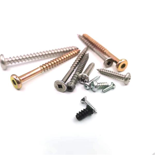 Metal Drilling Function Self-Tapping Screw Ss304 316 Stainless Steel Phillips