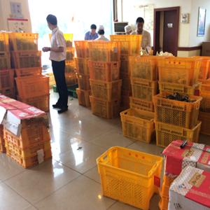 External Size 545*345*250mm Agriculture Plastic Crate for Vegetables Transportat