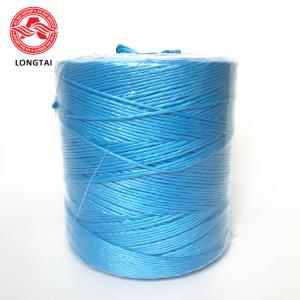 China Blue UV Treated Tomato Tying Twine 1 Strand Twisted Split Film Polypropylene Rope on sale