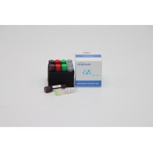 Buy cheap CE One Step Real Time PCR Kit HSV Rapid Test Kit For Hepatitis B Virus from wholesalers