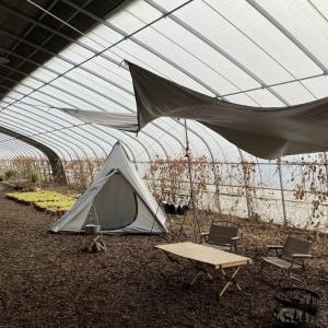 Buy cheap 30-Day Return Guarantee Vegetable Sunlight Greenhouse Sparay Irrigation System 100.000kg from wholesalers