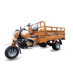 200cc Cargo Motor Tricycle with 900kg Loading Capacity