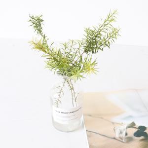Buy cheap OEM 25cm Small Twig Melaleuca bracteata Dried Flower Bunches from wholesalers