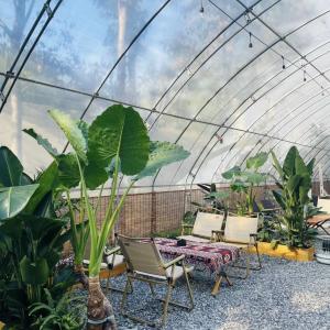 Buy cheap Flower Planting Drip Irrigation System Sunlight Greenhouse with Customized Request from wholesalers