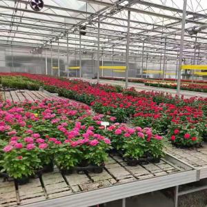 Buy cheap Vegetables Ebb And Flow Tray Seeding Bed Greenhouse Rolling Benches from wholesalers