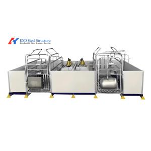 Customized High Strength Pig Feeding System For Livestock Piglet